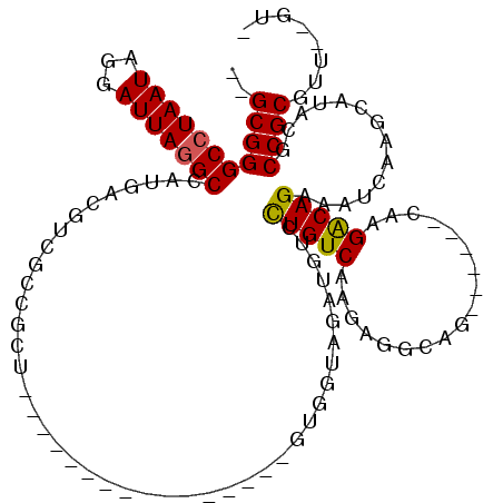 secondary structure