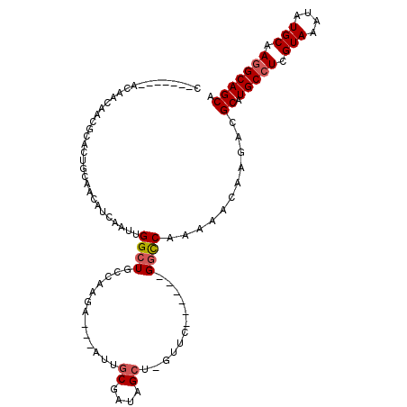 secondary structure