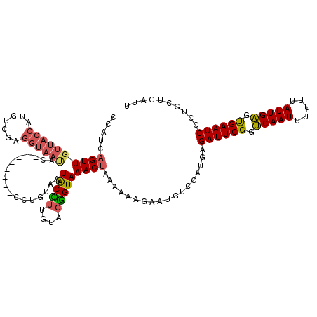 secondary structure