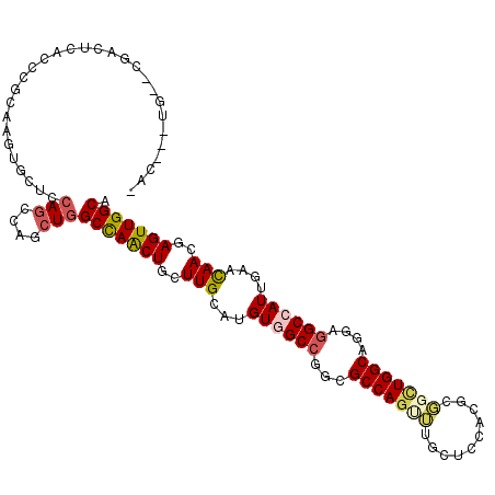secondary structure