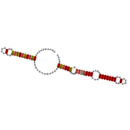 secondary structure