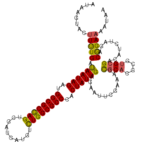 secondary structure