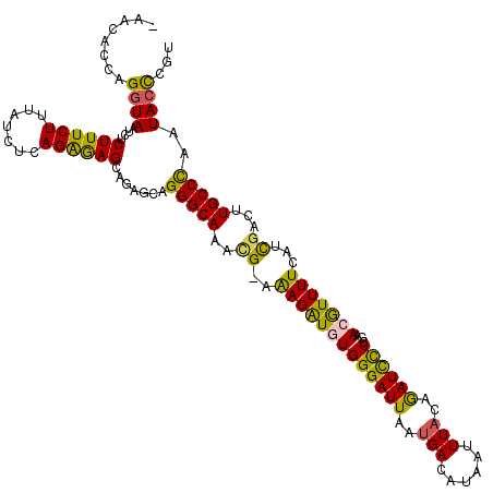 secondary structure