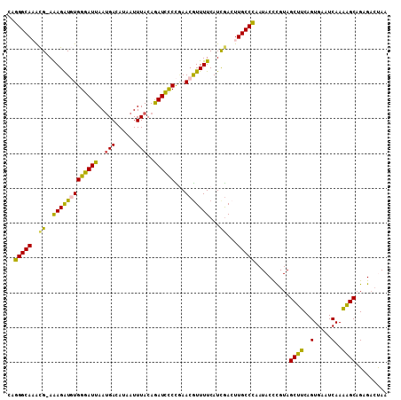 dotplot