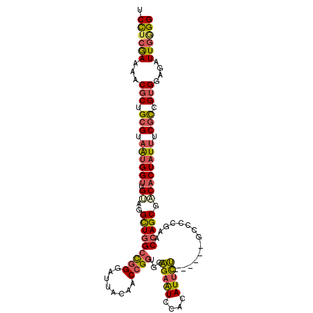 secondary structure