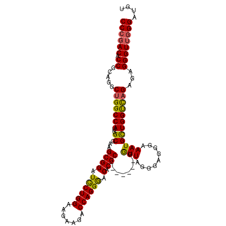 secondary structure