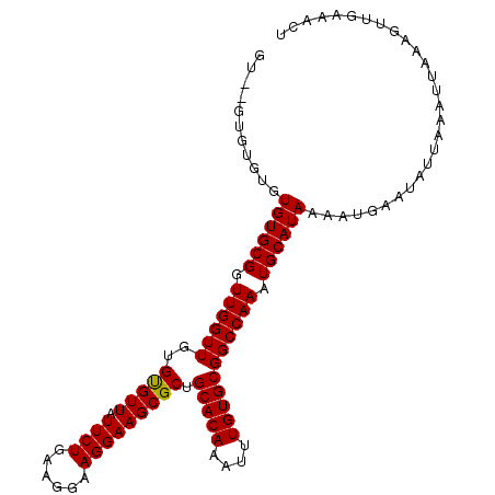 secondary structure
