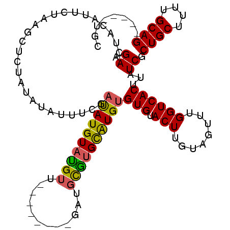 secondary structure