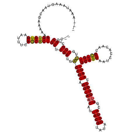 secondary structure