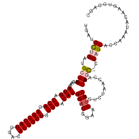 secondary structure