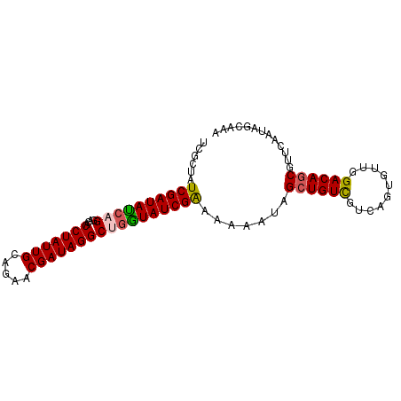 secondary structure