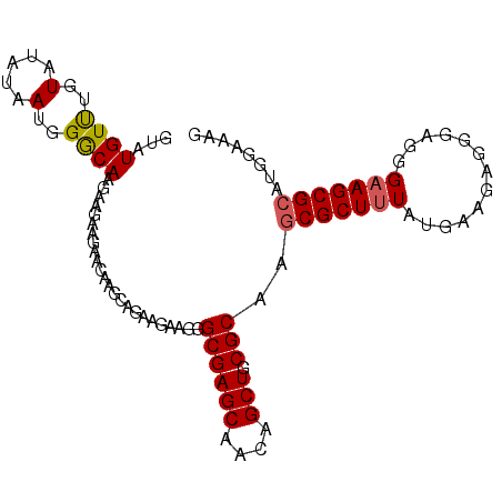 secondary structure