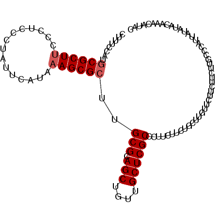 secondary structure