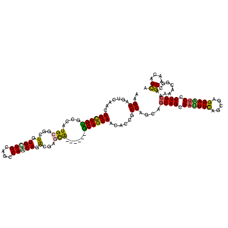 secondary structure