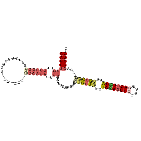 secondary structure