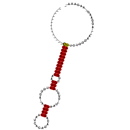 secondary structure