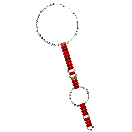 secondary structure