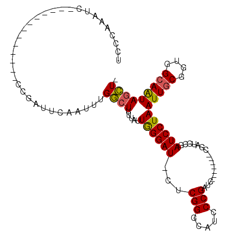 secondary structure