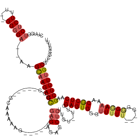 secondary structure