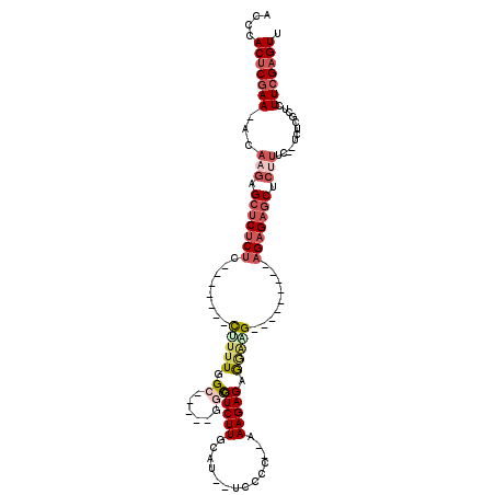 secondary structure