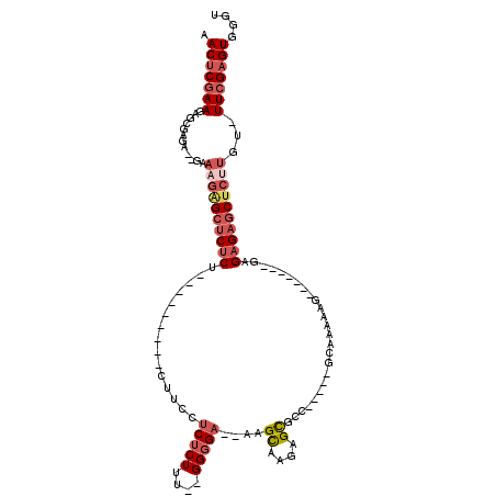 secondary structure