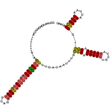 secondary structure