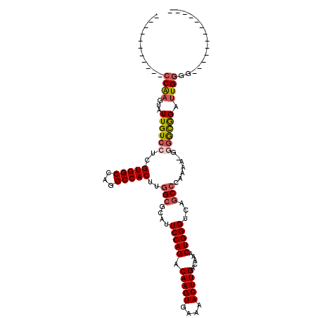 secondary structure