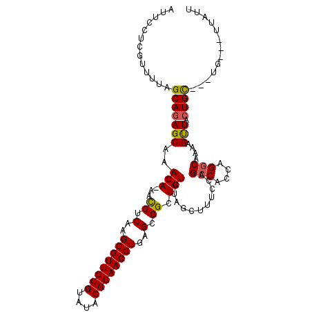 secondary structure