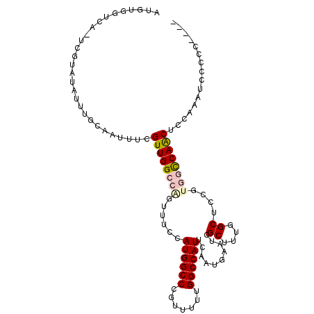 secondary structure