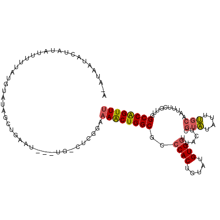 secondary structure