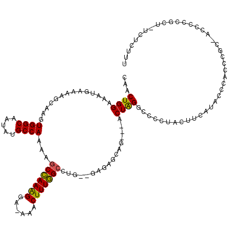 secondary structure