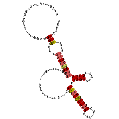 secondary structure