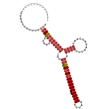 secondary structure