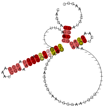 secondary structure