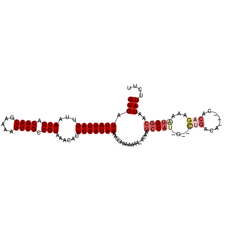 secondary structure