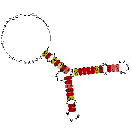 secondary structure