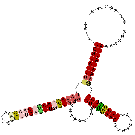 secondary structure