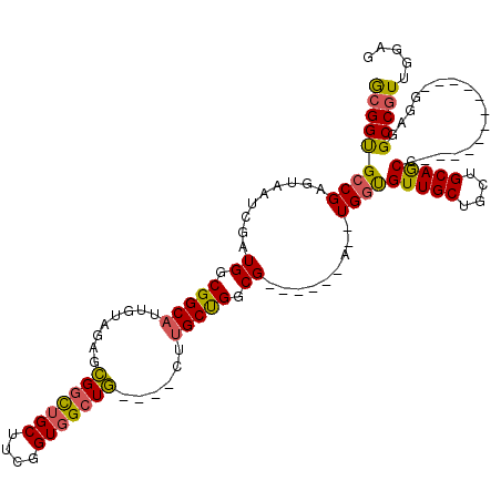secondary structure