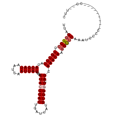 secondary structure