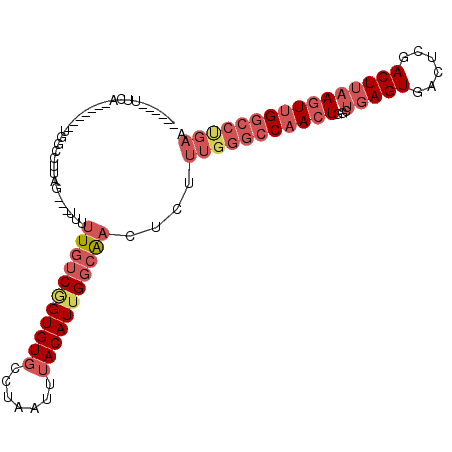 secondary structure