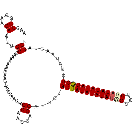 secondary structure