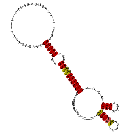 secondary structure