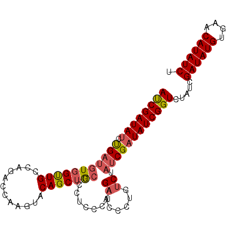 secondary structure