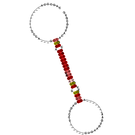 secondary structure