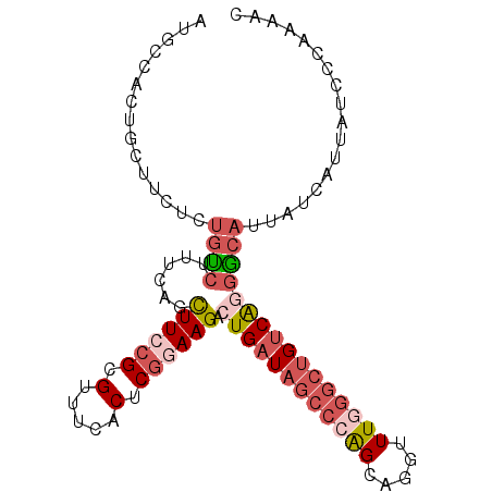 secondary structure