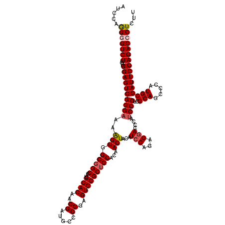 secondary structure