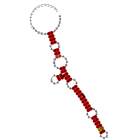 secondary structure