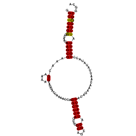 secondary structure