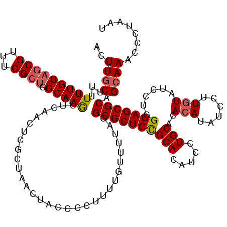secondary structure