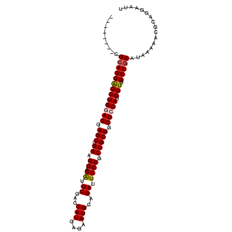 secondary structure